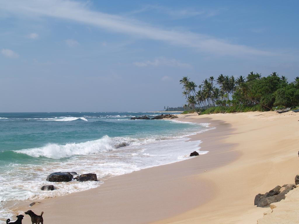 Imagine Villa Hotel Mirissa Luaran gambar